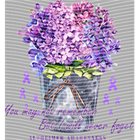 Breast cancer-XA 443